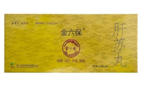 肝苏丸(子仁)主图