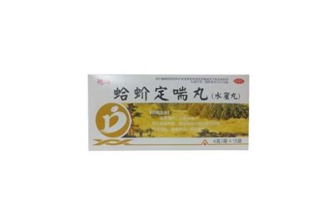 蛤蚧定喘丸(德済)主图 蛤蚧定喘丸(德済)主图