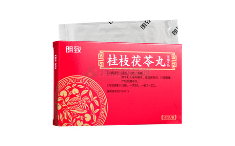 桂枝茯苓丸()主图