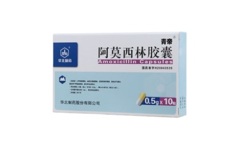 阿莫西林胶囊(青帝)主图 阿莫西林胶囊(青帝)主图