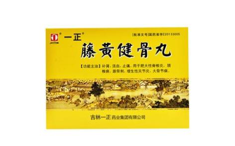 藤黄健骨丸(一正)主图 藤黄健骨丸(一正)主图