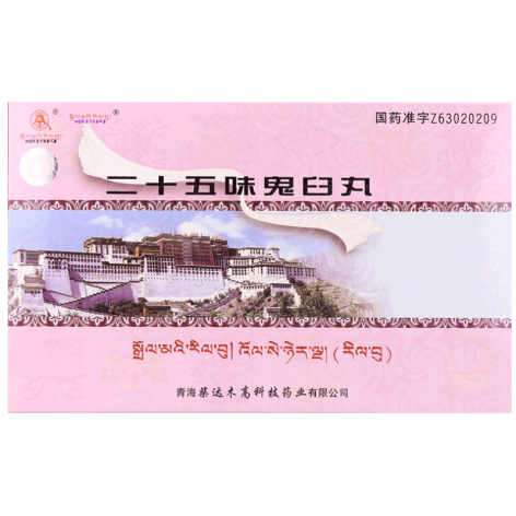 二十五味鬼臼丸(卓玛丹)包装主图