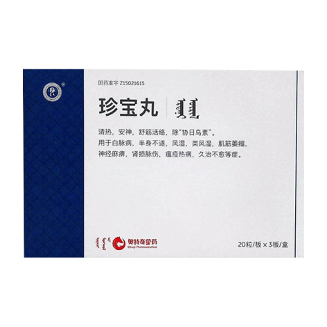 珍宝丸(丹神)包装主图 珍宝丸(丹神)包装主图