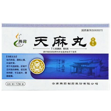 天麻丸(腾药)包装主图 天麻丸(腾药)包装主图