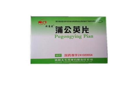 蒲公英片(龙门)主图