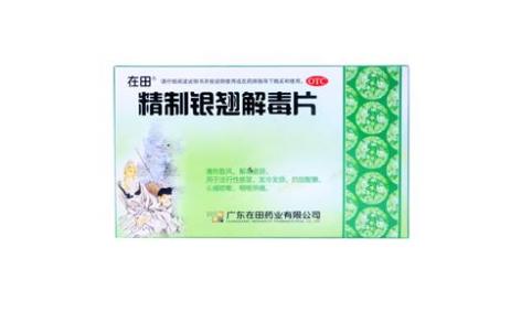精制银翘解毒片(在田)主图