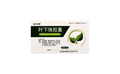 叶下珠胶囊(蓝绿康)主图 叶下珠胶囊(蓝绿康)主图