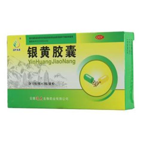 银黄胶囊(滇珍本草)包装主图 银黄胶囊(滇珍本草)包装主图