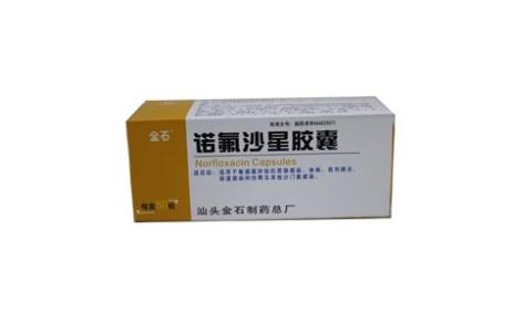 诺氟沙星胶囊(金石)主图 诺氟沙星胶囊(金石)主图