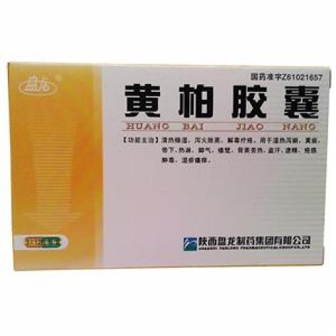 黄柏胶囊(盘龙)包装主图
