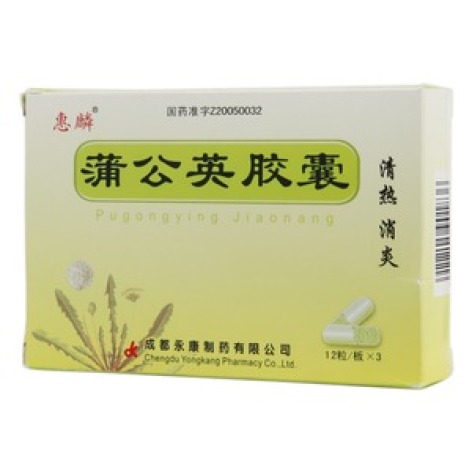 蒲公英胶囊(惠麟)包装主图 蒲公英胶囊(惠麟)包装主图