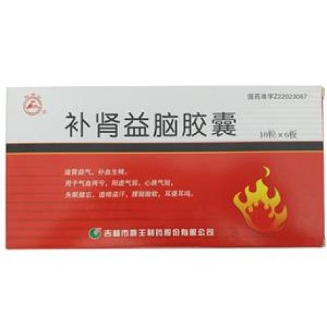 补肾益脑胶囊(龙潭山)包装主图 补肾益脑胶囊(龙潭山)包装主图