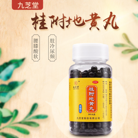 桂附地黄丸(九芝堂)包装侧面图3 桂附地黄丸(九芝堂)包装侧面图3