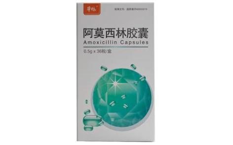 阿莫西林胶囊(力恩普)主图 阿莫西林胶囊(力恩普)主图