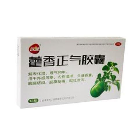 藿香正气胶囊(远健)包装主图