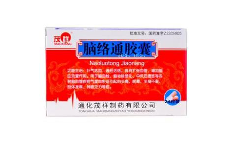脑络通胶囊(茂祥)主图 脑络通胶囊(茂祥)主图