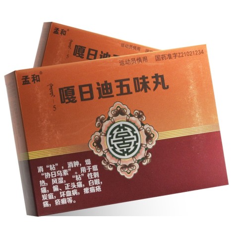嘎日迪五味丸(孟和)包装主图 嘎日迪五味丸(孟和)包装主图