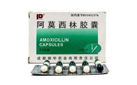 阿莫西林胶囊(锦华)主图 阿莫西林胶囊(锦华)主图