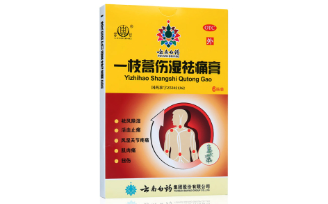 一枝蒿伤湿祛痛膏(雷公)主图 一枝蒿伤湿祛痛膏(雷公)主图
