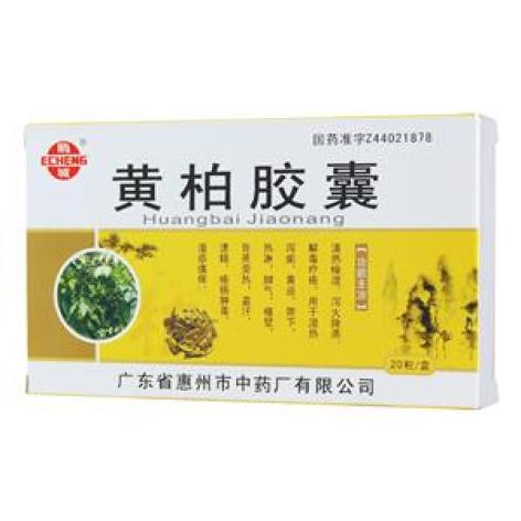 黄柏胶囊(鹅城)包装主图 黄柏胶囊(鹅城)包装主图