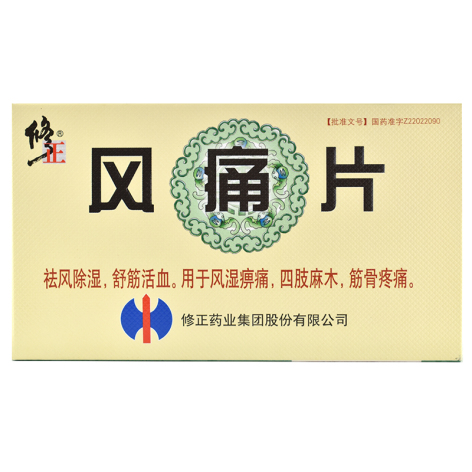 风痛片(修正)包装主图 风痛片(修正)包装主图