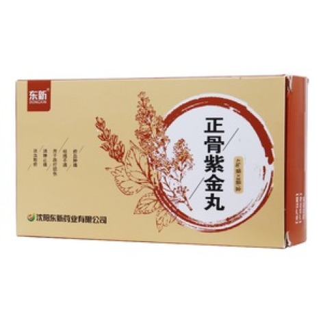 正骨紫金丸(东新)包装主图