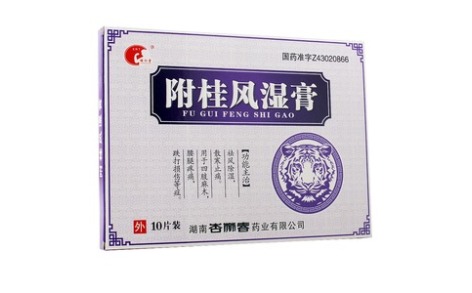 附桂风湿膏(东盛)主图 附桂风湿膏(东盛)主图