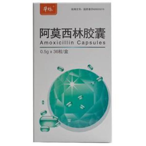 阿莫西林胶囊(力恩普)包装主图 阿莫西林胶囊(力恩普)包装主图