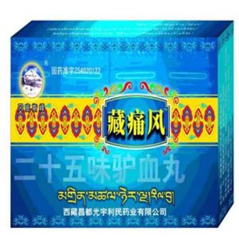 二十五味驴血丸(冈底斯峰)包装主图 二十五味驴血丸(冈底斯峰)包装主图