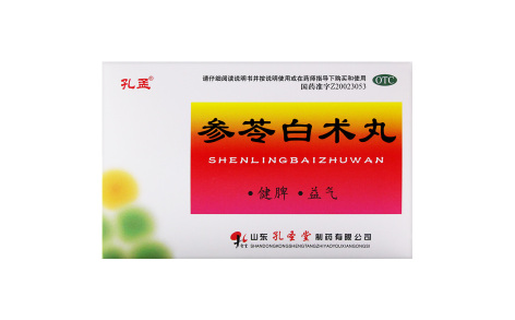 参苓白术丸(孔孟)主图 参苓白术丸(孔孟)主图