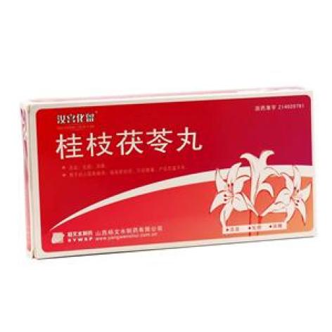 桂枝茯苓丸(汝宫化留)包装主图 桂枝茯苓丸(汝宫化留)包装主图