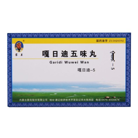 嘎日迪五味丸(蒙王)包装主图 嘎日迪五味丸(蒙王)包装主图