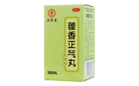 藿香正气丸(宝药堂)主图