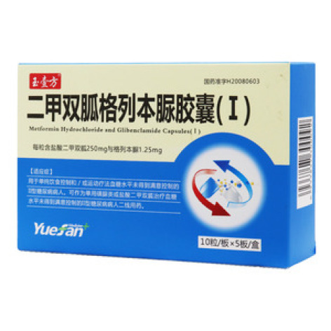 二甲双胍格列本脲胶囊(Ⅰ)(玉壹方)包装主图
