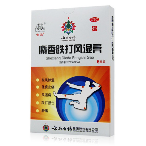 麝香跌打风湿膏(金品)包装侧面图2 麝香跌打风湿膏(金品)包装侧面图2