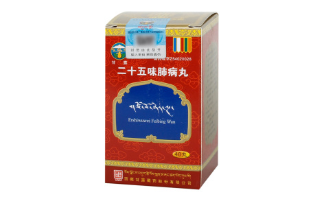 二十五味肺病丸(甘露)主图 二十五味肺病丸(甘露)主图