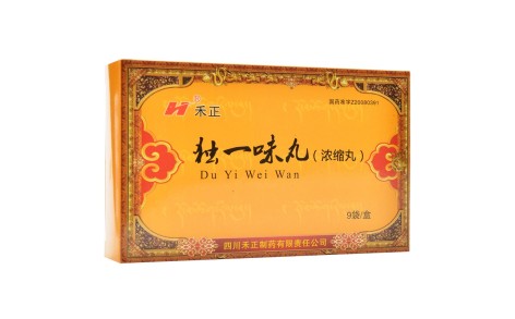 独一味丸(禾正)主图 独一味丸(禾正)主图