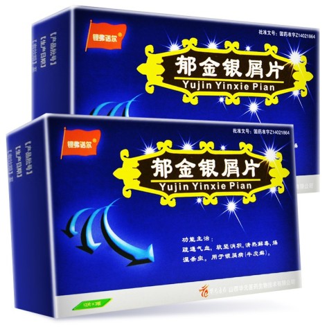 郁金银屑片(银弗诺尔)包装主图 郁金银屑片(银弗诺尔)包装主图