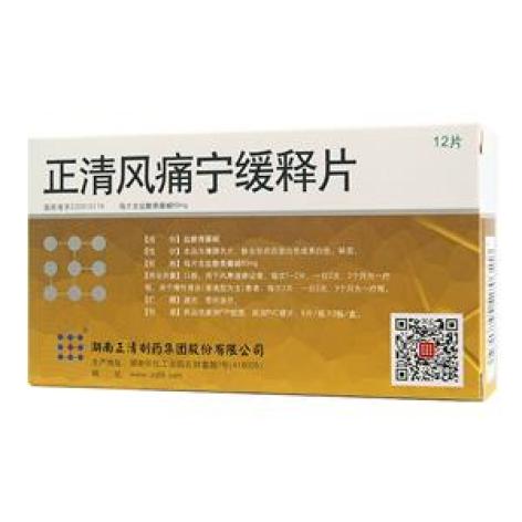 正清风痛宁缓释片(正清)包装主图