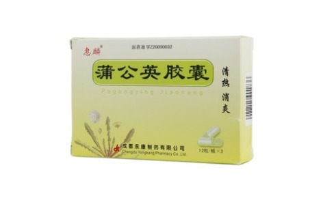 蒲公英胶囊(惠麟)主图 蒲公英胶囊(惠麟)主图