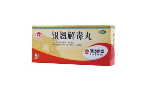 银翘解毒丸(世一堂)主图