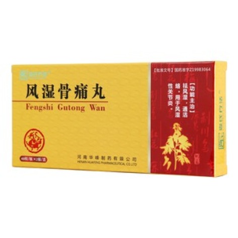 风湿骨痛丸(娄氏疗法)包装主图