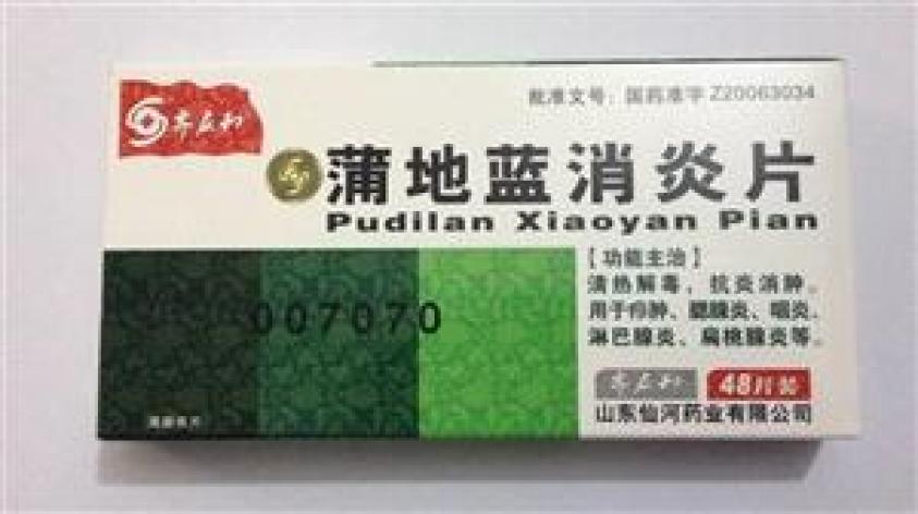 蒲地蓝消炎片(齐应和)包装主图