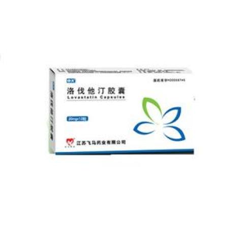 洛伐他汀胶囊(中大)包装主图 洛伐他汀胶囊(中大)包装主图