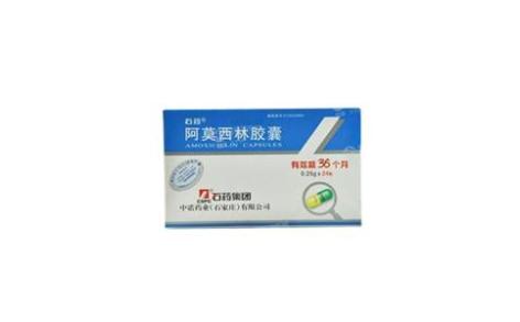 阿莫西林胶囊(石药)主图