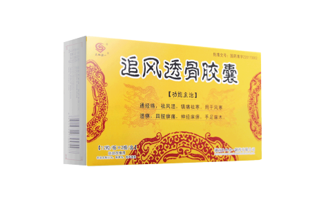 追风透骨胶囊(天地恒一)主图