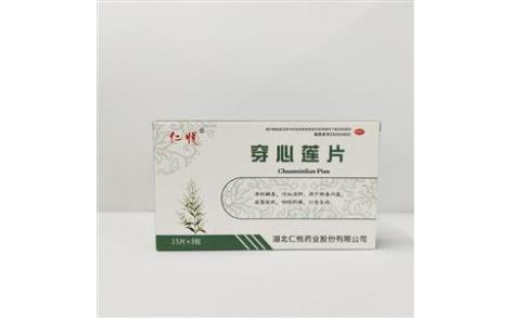 穿心莲片(仁悦)主图 穿心莲片(仁悦)主图