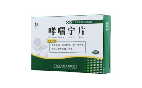 哮喘宁片(旺方)主图 哮喘宁片(旺方)主图