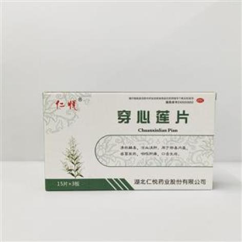 穿心莲片(仁悦)包装主图 穿心莲片(仁悦)包装主图