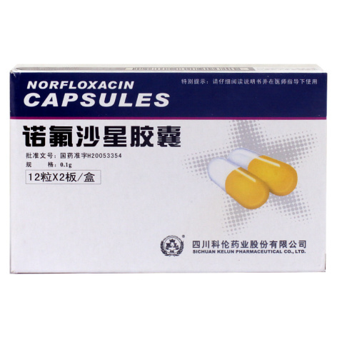 诺氟沙星胶囊(华孜)包装主图